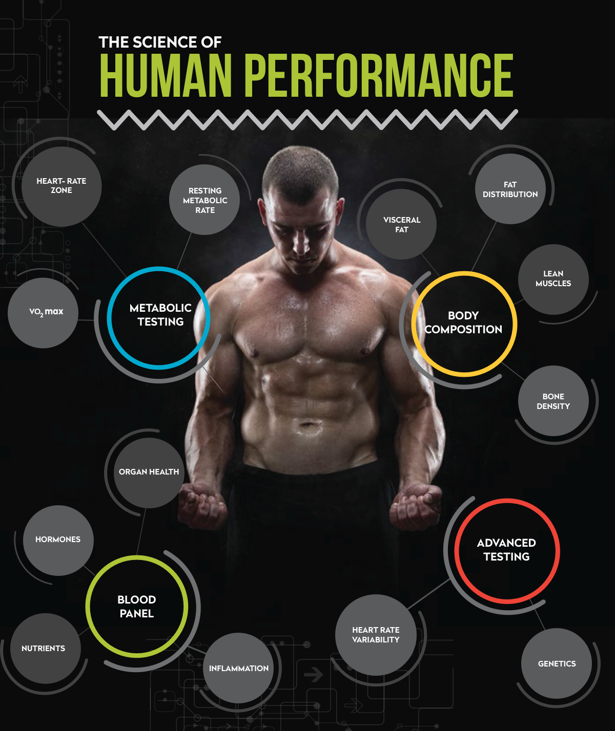 Human Performance